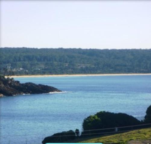 Snug Cove Villas Эдем Экстерьер фото